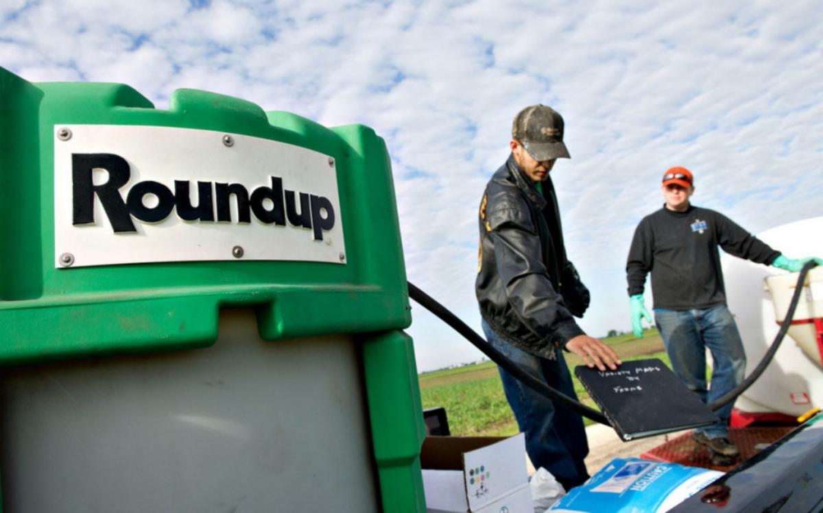 Monsanto Roundup. Daniel Acker / Getty Images